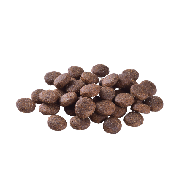 Корм сухой Brit Care Dog Grain-free Junior Large Breed для молодых собак крупных пород беззерновой с лососем 1 кг - Фото 2 Корм сухой Brit Care Dog Grain-free Junior Large Breed для молодых собак крупных пород беззерновой с лососем 1 кг - изображение 2