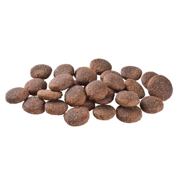 Корм сухой Brit Care Dog Grain-free Adult Large Breed для взрослых собак крупных пород беззерновой с лососем 12 кг - изображение 2