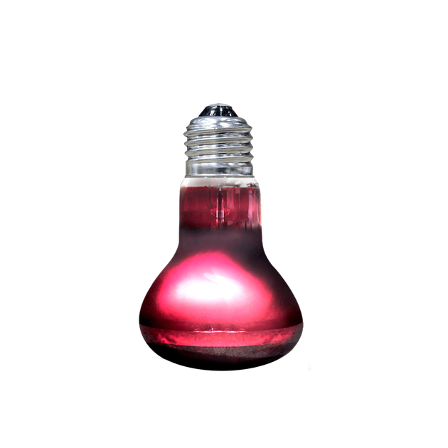 Інфрачервона лампа для рептилій ARCADIA INFRARED BASKING SPOT 50 WATT (R2100170) - зображення 2
