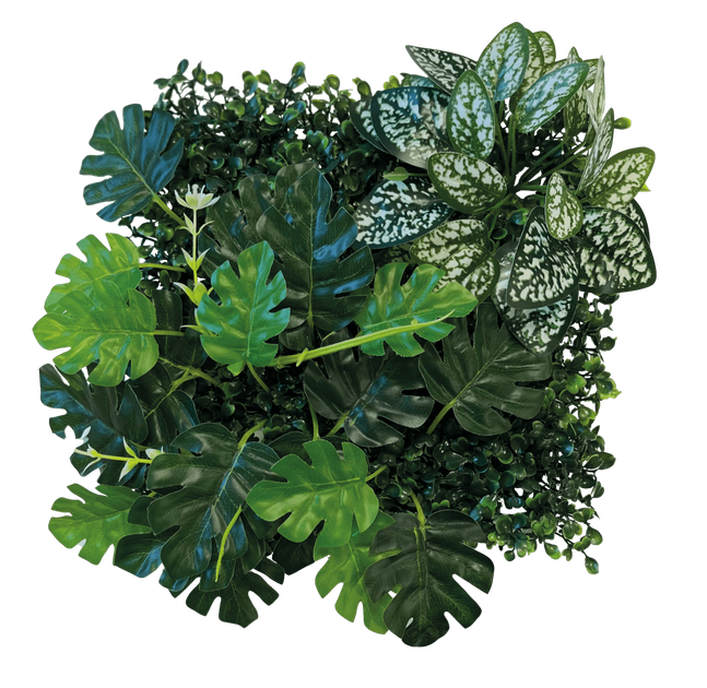 Задній фон для тераріуму REPTO PLANT BACK WALL MAT 25X25 CM 1 (R5100015) - зображення 2