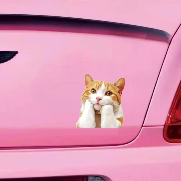 Декоративная 2D наклейка Рыжий кот для автомобиля, мотоцикла, ноутбука, техники 1 шт. 14.8х14 см. Оранжевый с белым - изображение 9