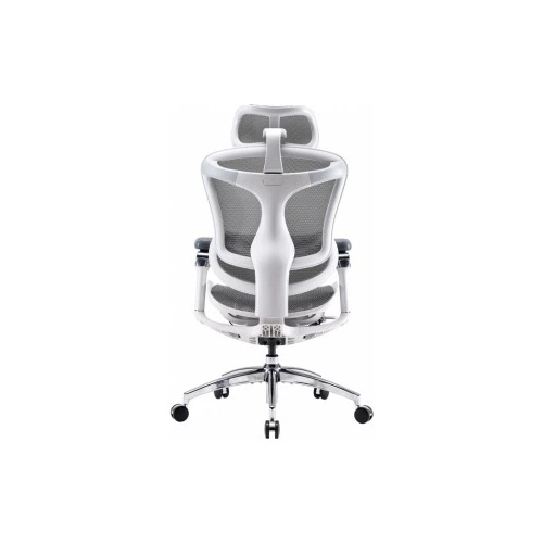 Офисное кресло Sihoo DORO C300 Pro Mesh White (DORO-C300-PRO-M102) Sihoo DORO-C300-PRO-M102 926309 - Фото 2 Офисное кресло Sihoo DORO C300 Pro Mesh White (DORO-C300-PRO-M102) Sihoo DORO-C300-PRO-M102 926309 - изображение 2