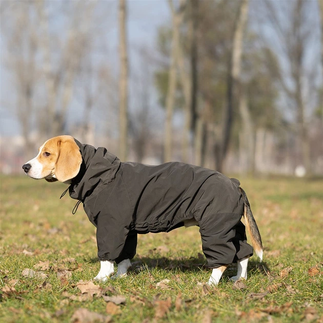 Комбинезон Noble Pet Travis T4123/XL Khaki (00002240) - Фото 3 Комбинезон Noble Pet Travis T4123/XL Khaki (00002240) - изображение 3