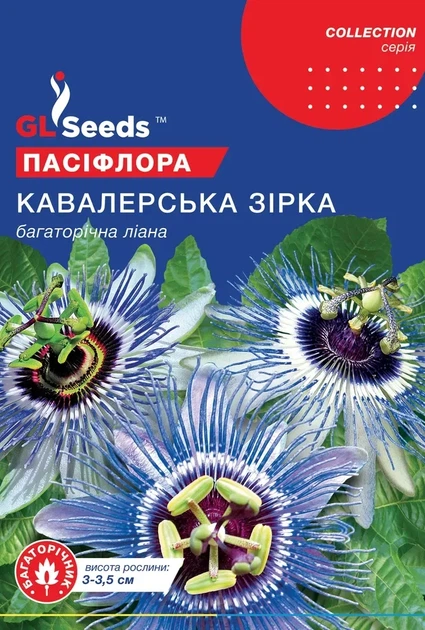 Насіння GL Seeds Пасифлора Кавалерська зірка 0,1г - Фото 1 Насіння GL Seeds Пасифлора Кавалерська зірка 0,1г - зображення 1