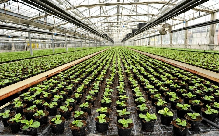 Агроволокно від бур'янів Garden Line 1х20 м агрополотно для мульчування щільність 50 г/м² захист ґрунту від пересихання Чорний - Фото 6 Агроволокно від бур'янів Garden Line 1х20 м агрополотно для мульчування щільність 50 г/м² захист ґрунту від пересихання Чорний - зображення 6