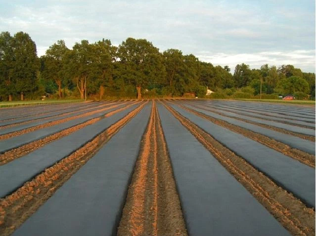 Агроволокно від бур'янів Garden Line 1х20 м агрополотно для мульчування щільність 50 г/м² захист ґрунту від пересихання Чорний - Фото 7 Агроволокно від бур'янів Garden Line 1х20 м агрополотно для мульчування щільність 50 г/м² захист ґрунту від пересихання Чорний - зображення 7