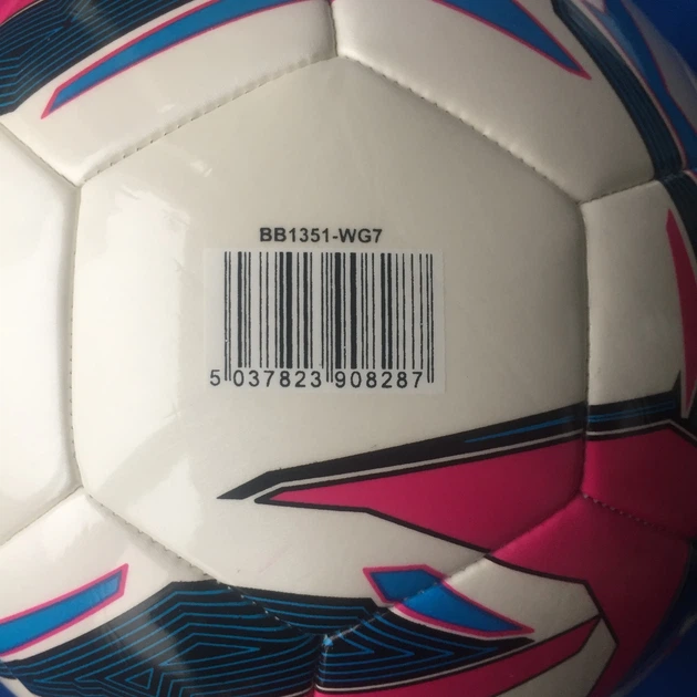 Мяч для футзала Mitre Pro Futsal BB1351WG7 №4 Белый - изображение 9