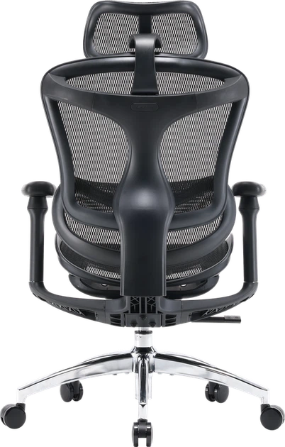 Крісло офісне Sihoo DORO C300L Mesh Black - изображение 2