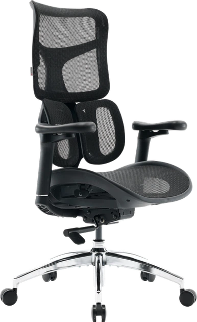 Крісло офісне Sihoo DORO S100 Mesh Black - зображення 5