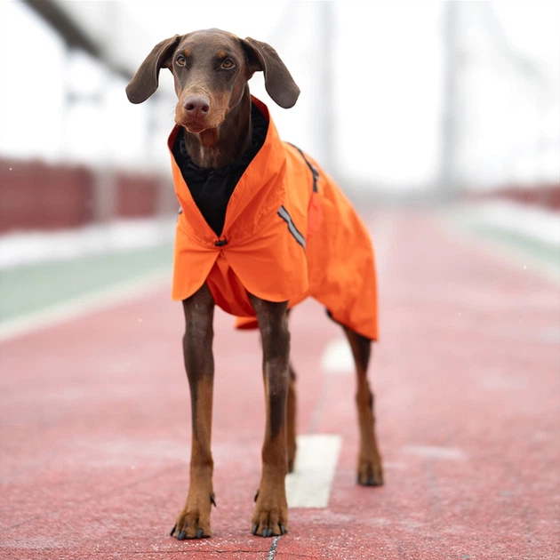 Дождевик Noble Pet Rio R4136/7XL Orange - изображение 7