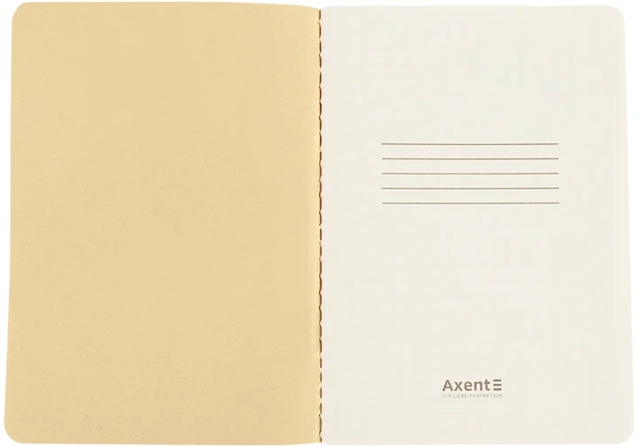 Записник Axent Turnowsky Secret Garden 105x148 мм А6 60 аркушів у клітинку Блакитний (8711-1-A-TR) - Фото 3 Записник Axent Turnowsky Secret Garden 105x148 мм А6 60 аркушів у клітинку Блакитний (8711-1-A-TR) - зображення 3