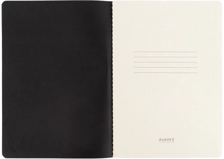 Записник Axent Partner Black&White 148x210 мм A5 60 аркушів у клітинку Біло-чорний (8710-7-A) - зображення 3