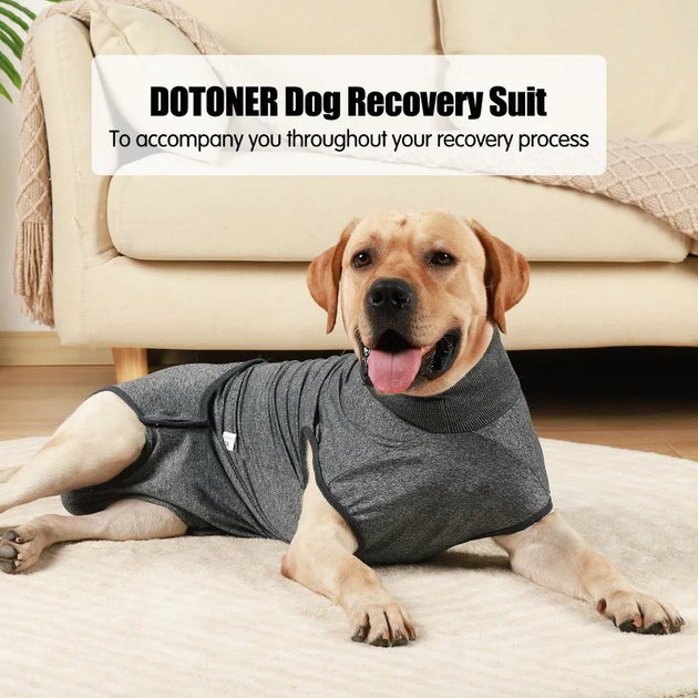 Гигиенические трусы/комбинезон для собак WanTalk Full Body Dog Diaper, Grey, M - изображение 2
