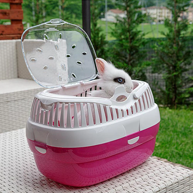 Переноска для гризунів Ferplast Aladino Large рожева 36х26х23 см 73006099 - Фото 1 Переноска для гризунів Ferplast Aladino Large рожева 36х26х23 см 73006099 - зображення 1