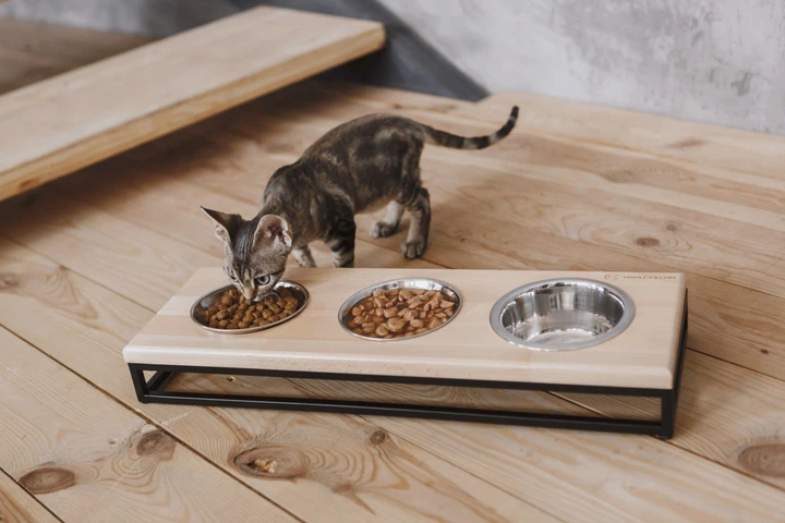Миски потрійні на підставці для собак та котів Harley and Cho Lunch Bar Natural wood + Black S - зображення 8