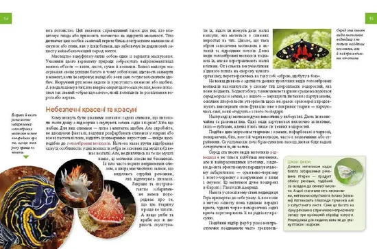 Енциклопедія для допитливих: Тварини - майстри маскування - изображение 3