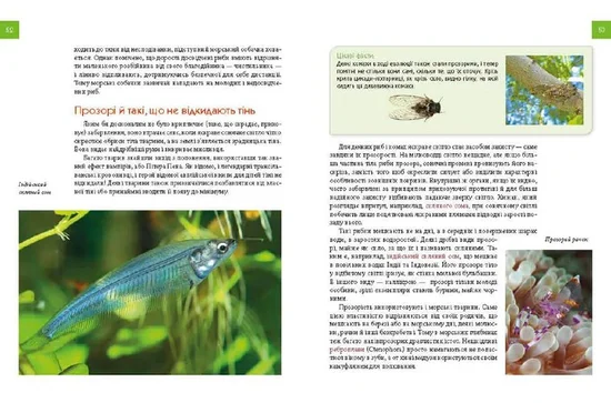 Енциклопедія для допитливих: Тварини - майстри маскування - изображение 6