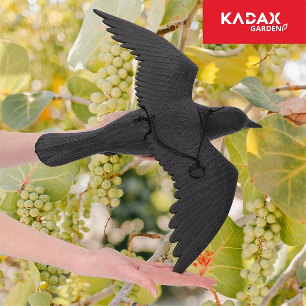 Відлякувач птахів Kadax Великий крук у польоті 56 см 2 шт. K4435 (5903699435229) - зображення 9