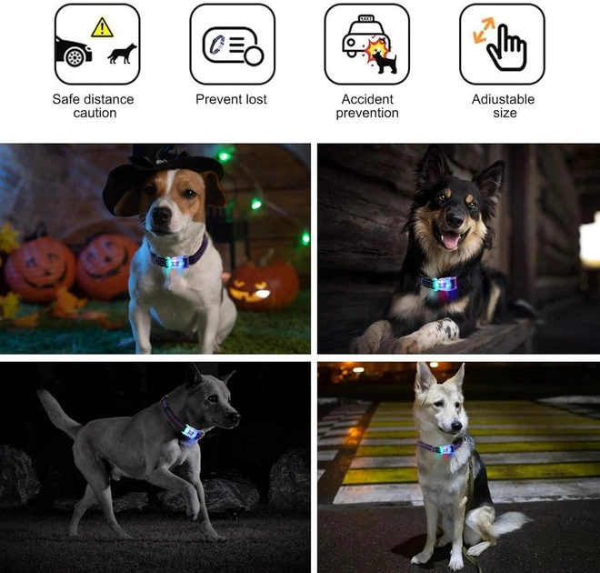 Світящийся нашийник для собак LED (USB), Водонепроникний IP68, Multi-Colour, S - Фото 3 Світящийся нашийник для собак LED (USB), Водонепроникний IP68, Multi-Colour, S - зображення 3