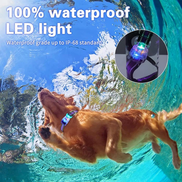 Світящийся нашийник для собак LED (USB), Водонепроникний IP68, Multi-Colour, S - Фото 8 Світящийся нашийник для собак LED (USB), Водонепроникний IP68, Multi-Colour, S - зображення 8