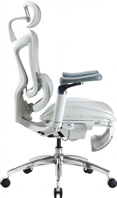 Fotel biurowy Sihoo DORO C300 Pro Mesh White (DORO-C300-PRO-M102-JT) - obraz 5