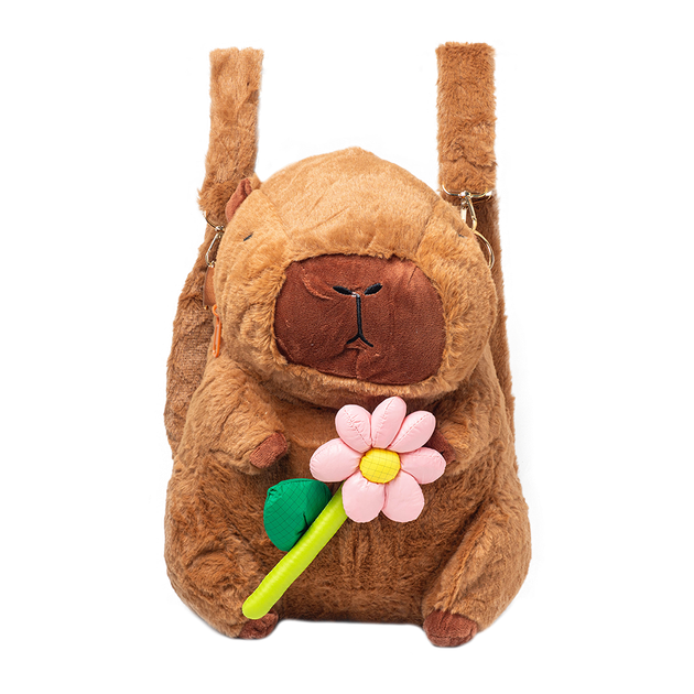 Рюкзак CAPYBARA, розмір 30x20x15 см - изображение 3