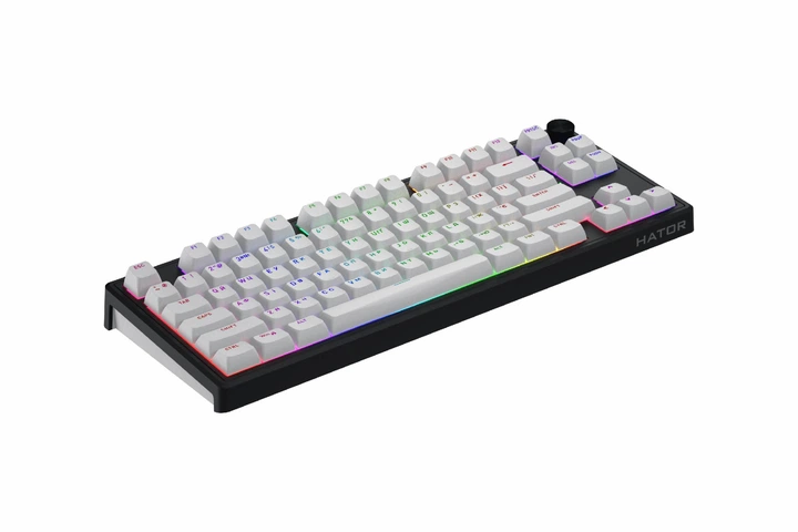 Игровая клавиатура HATOR Skyfall 80 wireless black-white (HTK3180UA) - изображение 4