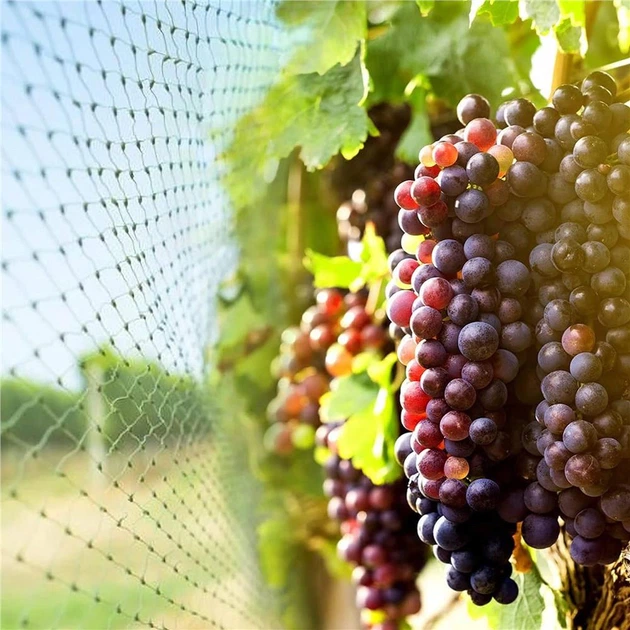 Siatka chroniąca przed ptakami Springos AB0002 - obraz 6