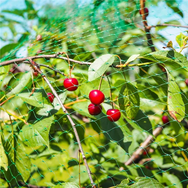 Siatka chroniąca przed ptakami Springos AB0003 - obraz 5