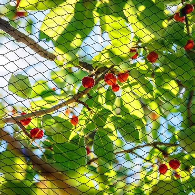 Siatka chroniąca przed ptakami Springos AB0005 - obraz 5