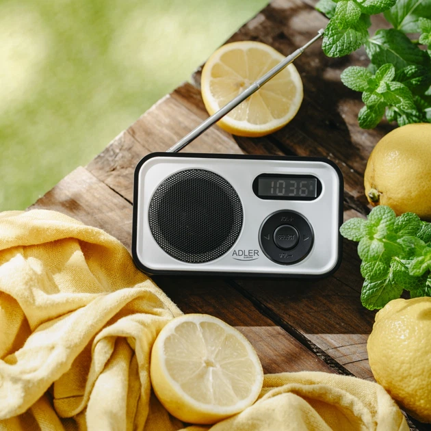 Odbiornik radiowy Adler AD 1906 PLL AM/FM (5905575905499) - obraz 11