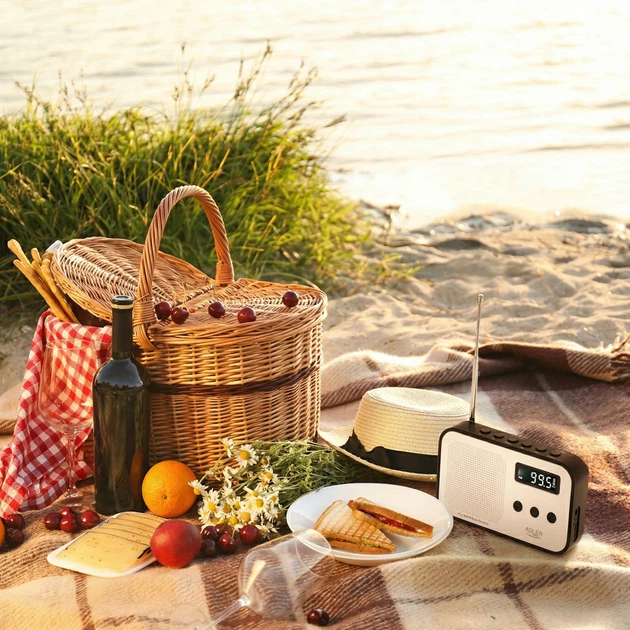 Радіоприймач Adler AD 1907 PLL AM/FM (5905575905536) - зображення 18