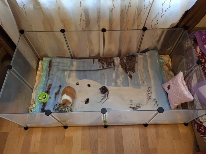 Клітка-манеж для тварин Songmics W02 143×73×46 см, модульний вольєр для кролика, морської свинки, гризунів - зображення 8
