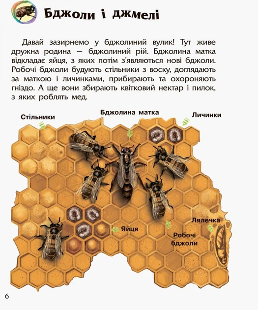 Дитяча енциклопедія про комах 614014 для дошкільнят - Фото 3 Дитяча енциклопедія про комах 614014 для дошкільнят - изображение 3