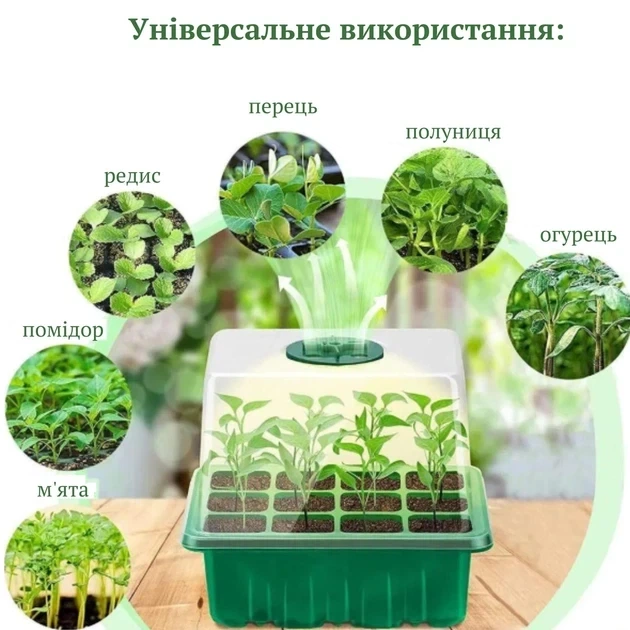 Набор для выращивания рассады с LED подсветкой на 5 лотков / Мини-тепличка / Стартовый набор для растений со светодиодной лампой - изображение 3