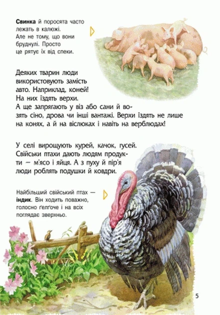 Дитяча енциклопедія про тварин 614005 для дошкільнят - изображение 8