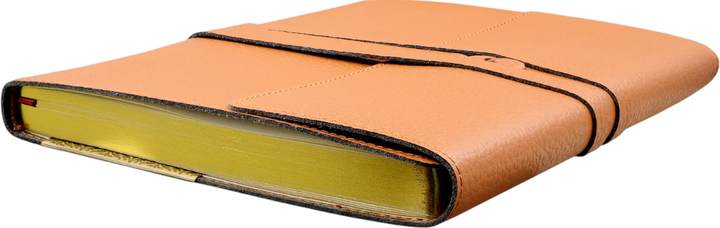 Блокнот Peter Pauper Press обтягнутий штучною шкірою в лінійку 15 x 20 см 192 сторінки (9781441344861) - зображення 2