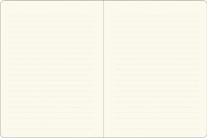 Блокнот Peter Pauper Press обтягнутий штучною шкірою в лінійку 15 x 20 см 192 сторінки (9781441344861) - зображення 3