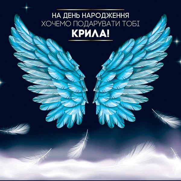 Фотозона Крылья Артикул 70037, комплект баннер 1.5х2м с металлической рамкой - Фото 2 Фотозона Крылья Артикул 70037, комплект баннер 1.5х2м с металлической рамкой - изображение 2