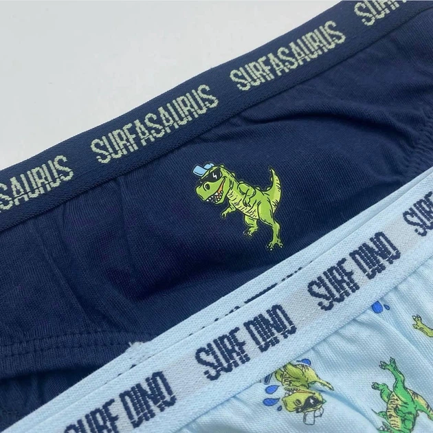Набір трусів сліпів на хлопчика 2 шт Primark 98/104 3-4 рочки Синій - Фото 2 Набір трусів сліпів на хлопчика 2 шт Primark 98/104 3-4 рочки Синій - изображение 2