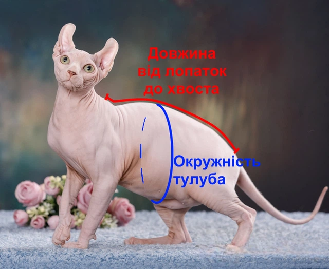 Флисовая кофта для котов (кошек) Зефир S Коричневый - изображение 11