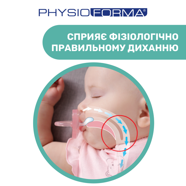 Пустышка Chicco PhysioForma Micro, силикон, 0-2 мес., 2 шт., цвет голубой (75126.21) - изображение 2