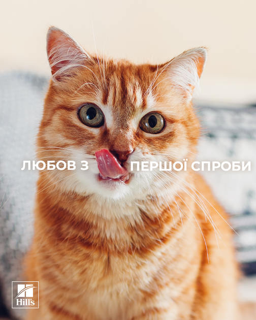 Лечебный корм Hill's PD Feline K/D Salmon из ActivBiome+ Kidney Defense Сухой корм с лососем для поддержания функции почек у кошек 400 г (609898) - изображение 3