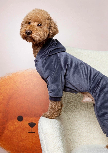 Костюм велюровый Кураж графит Dogs Bomba D-241/7 - изображение 2