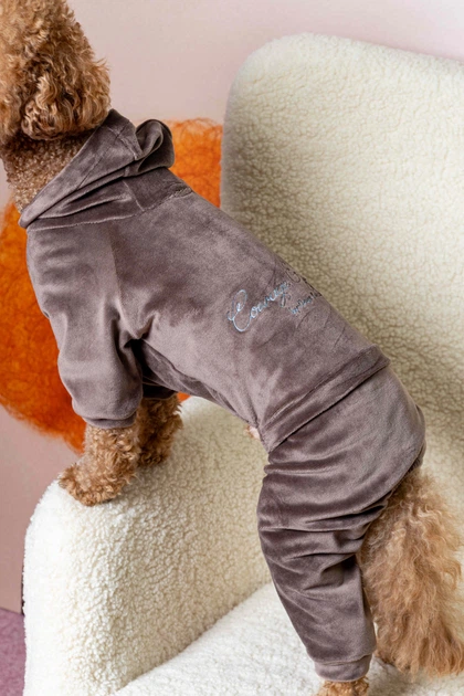 Костюм велюровый Кураж тауп Dogs Bomba D-242/7 - Фото 1 Костюм велюровый Кураж тауп Dogs Bomba D-242/7 - изображение 1