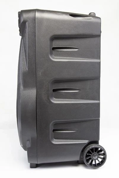 Акустична Колонка Manta SPK5033 - изображение 3