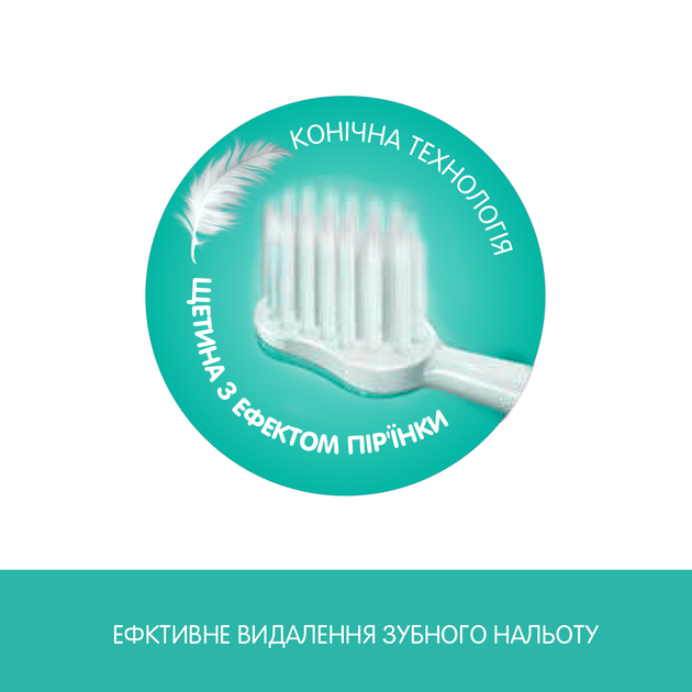 Набір зубних щіток Chicco "Learning Set" (06961.00) - зображення 3