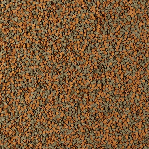 Корм Tetra Wafer Mini Mix для аквариумных донных рыб таблетки 100 мл - Фото 2 Корм Tetra Wafer Mini Mix для аквариумных донных рыб таблетки 100 мл - изображение 2