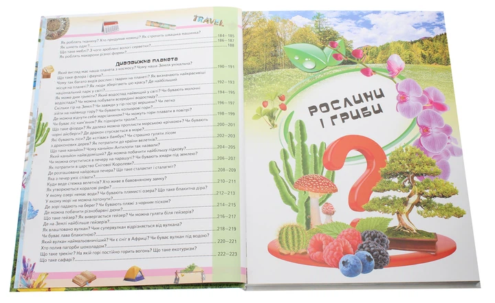 Велика дитяча енциклопедія у запитаннях і відповідях - Фото 14 Велика дитяча енциклопедія у запитаннях і відповідях - изображение 14