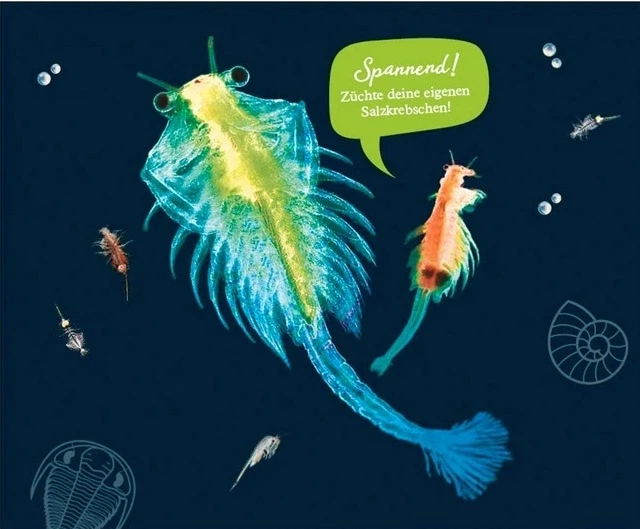 Zestaw naukowy Kosmos Morskie stworzenia 616779 (4002051616779) - obraz 3